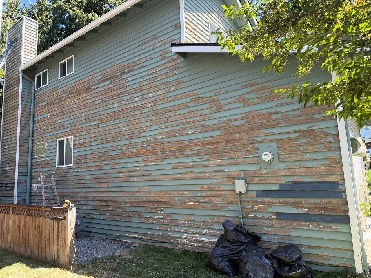 Before Exterior Siding